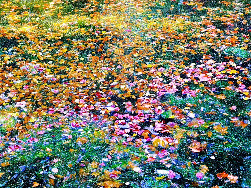 Impressionism Imagined Photography Art | True Nature Photography