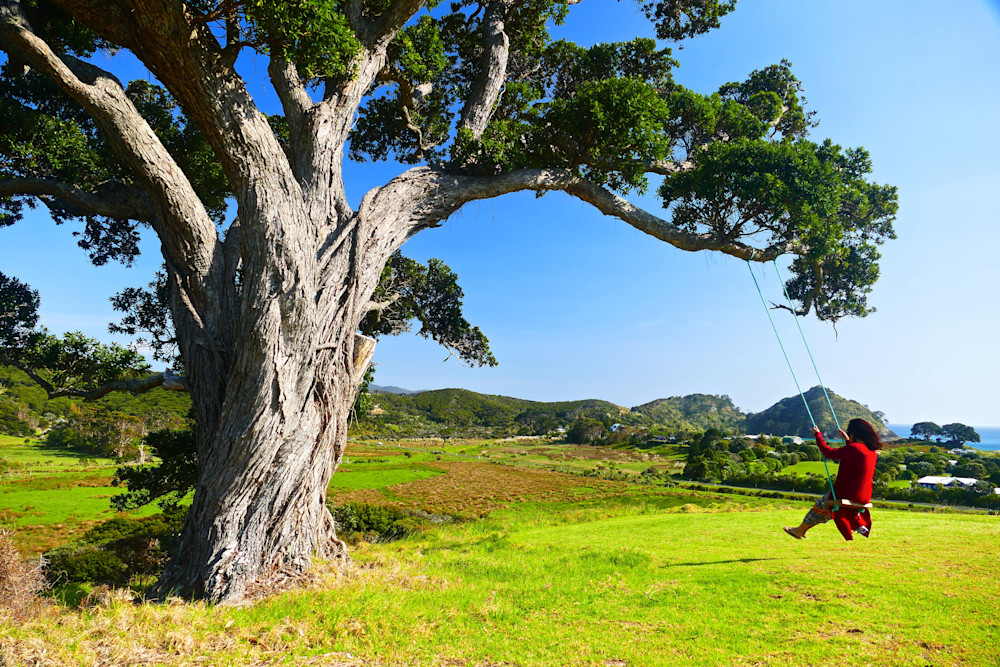 I Remember Photography Art | True Nature Photography