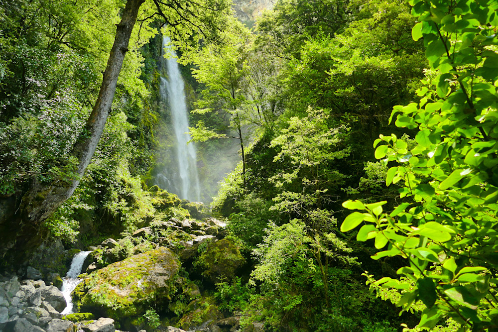 Finding The Falls Photography Art | True Nature Photography