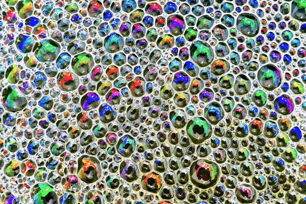 Elusive Reality Photography Art | True Nature Photography