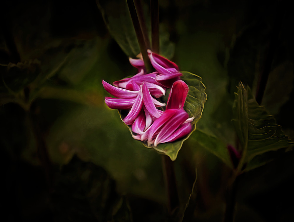 Tranquil Multitude (2022)