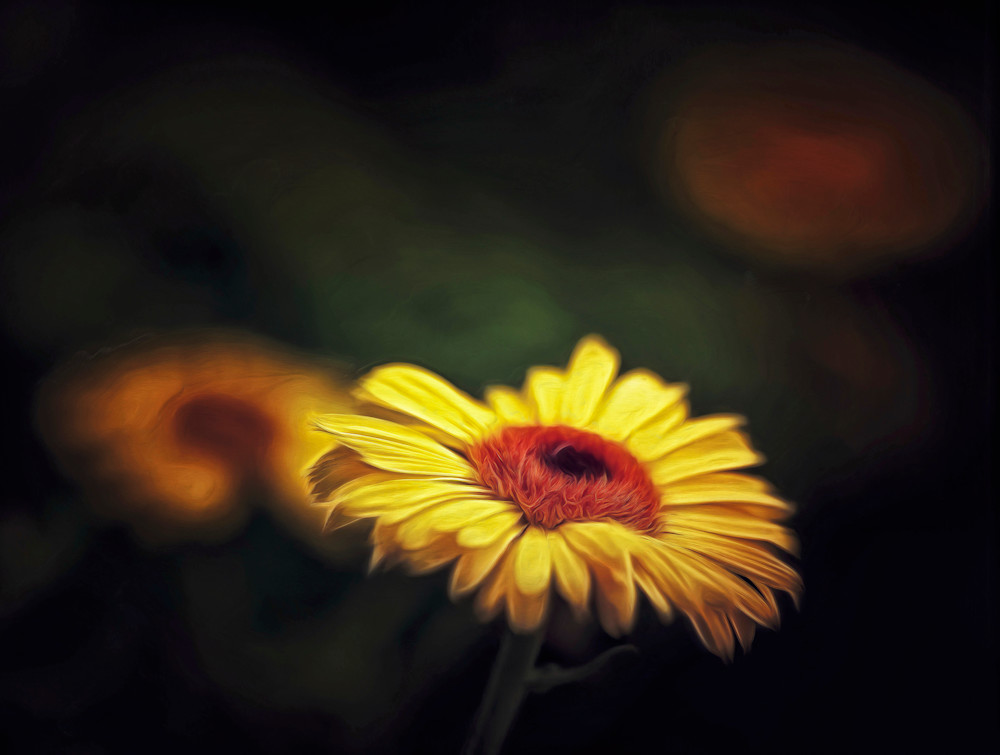 Faccia da Margherita (2023)