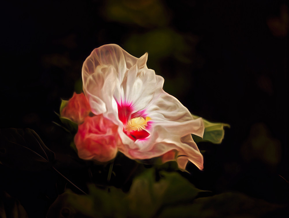 Fiore Bianco con Una Coppa Rossa (2023)