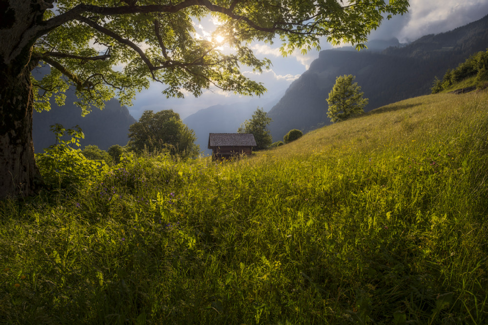 Light Returns to Hillside