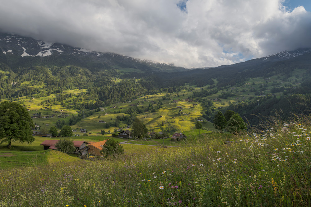 Swiss Alps-Patchwork of Golden Light