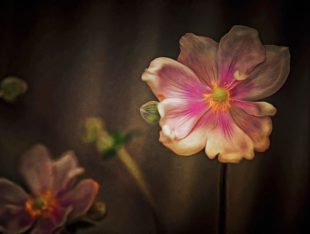 Bacio alla Francese (2023)