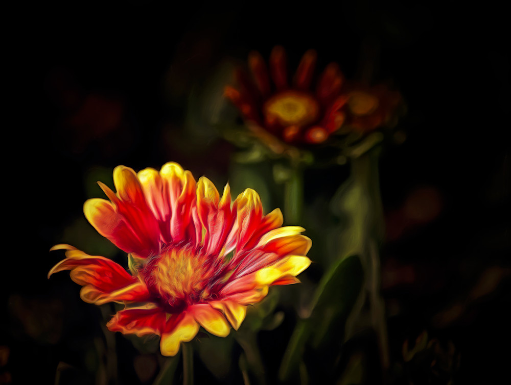 Pennelli di Fuoco (2023)