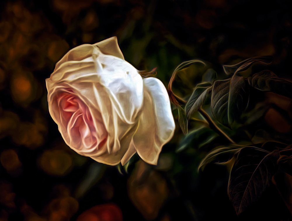 La Rosa Bianca (2023)