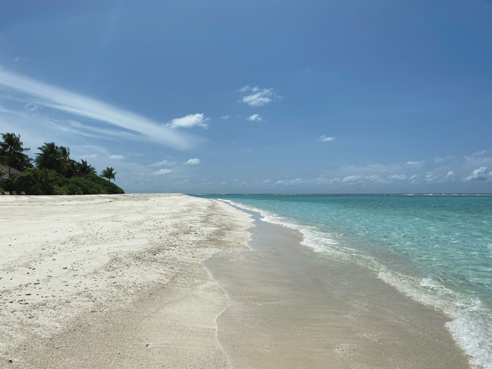 Peace Of Paradise Art | Yatin Dattani