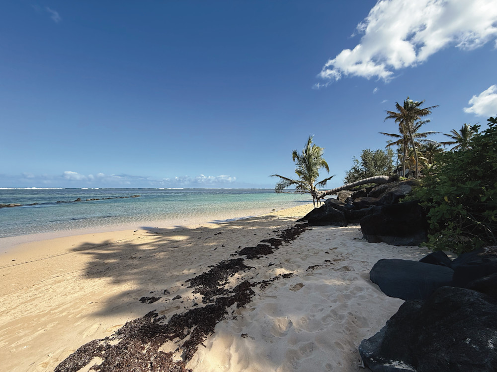 Tranquil Shores Art | Yatin Dattani