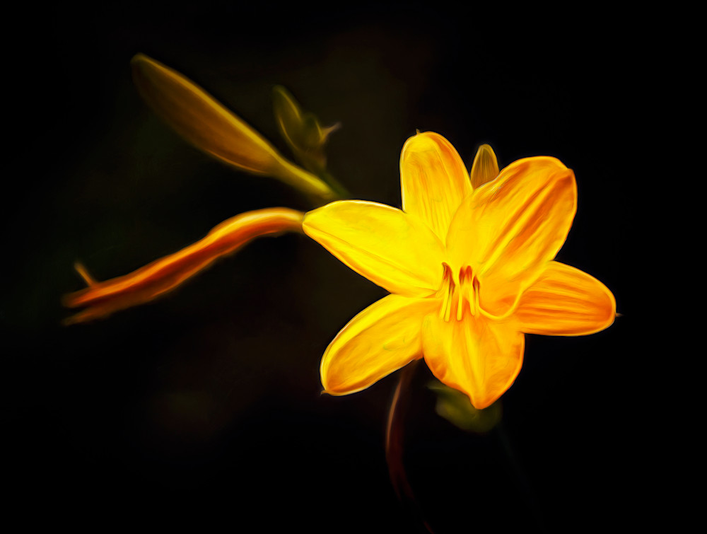 Ritratto di Narciso Giallo (2024)