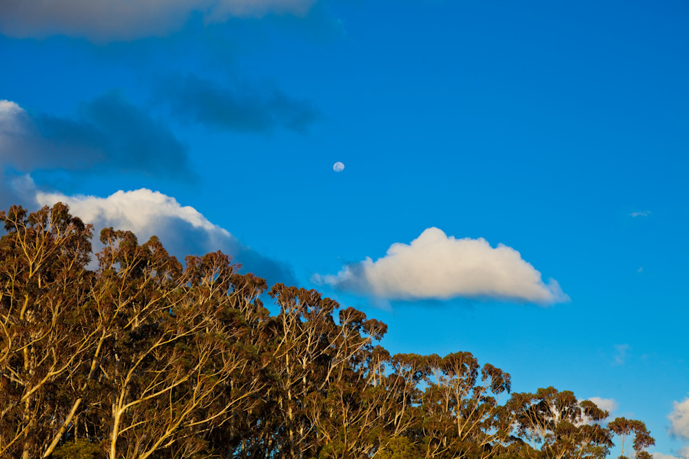 The Shy C Loud Photography Art | ANASTASE PHOTOGRAPHY