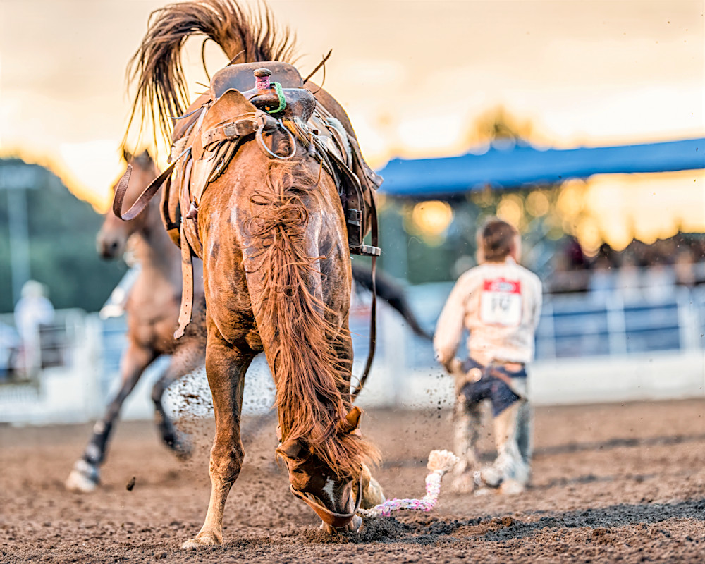 Aftermath Photography Art | Mark Ruckman Fine Art