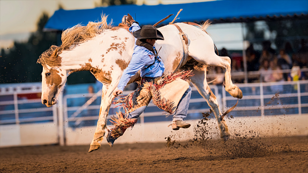 Which Way Photography Art | Mark Ruckman Fine Art