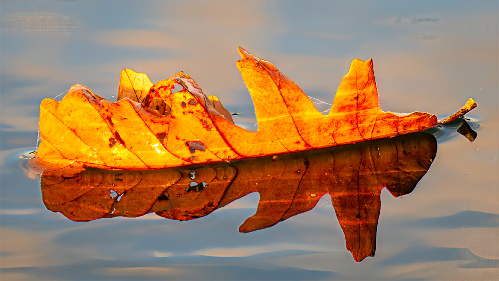 Golden Drift Photography Art | Mark Ruckman Fine Art