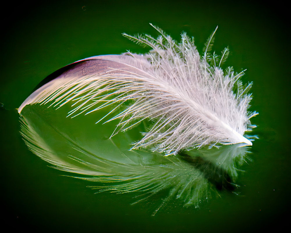 Lost And Found Photography Art | Mark Ruckman Fine Art