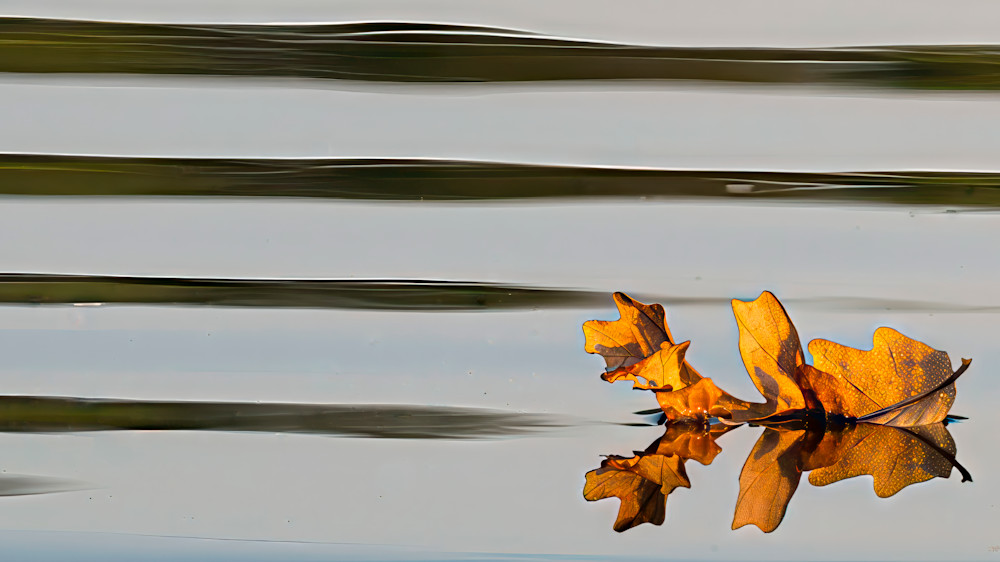 Autumn Afloat Photography Art | Mark Ruckman Fine Art
