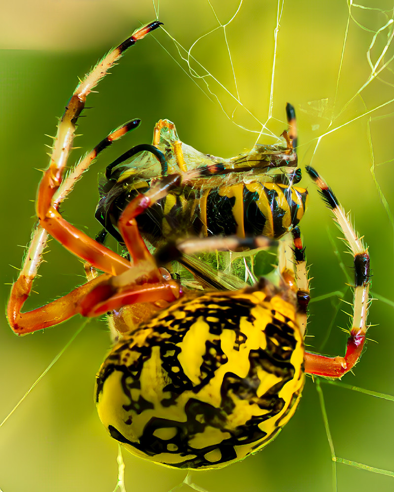 Wrong Place Wrong Time Photography Art | Mark Ruckman Fine Art