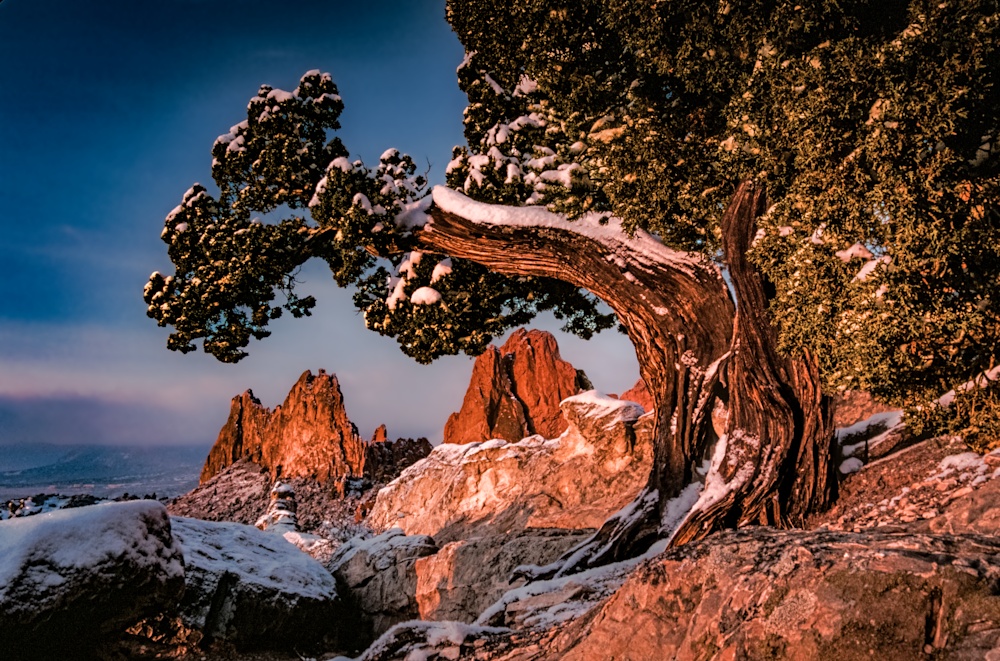 Gog Weathered Buzzi Ridge 04212007 Cb0023 Photography Art | James H Egbert's Silver Branch Studios