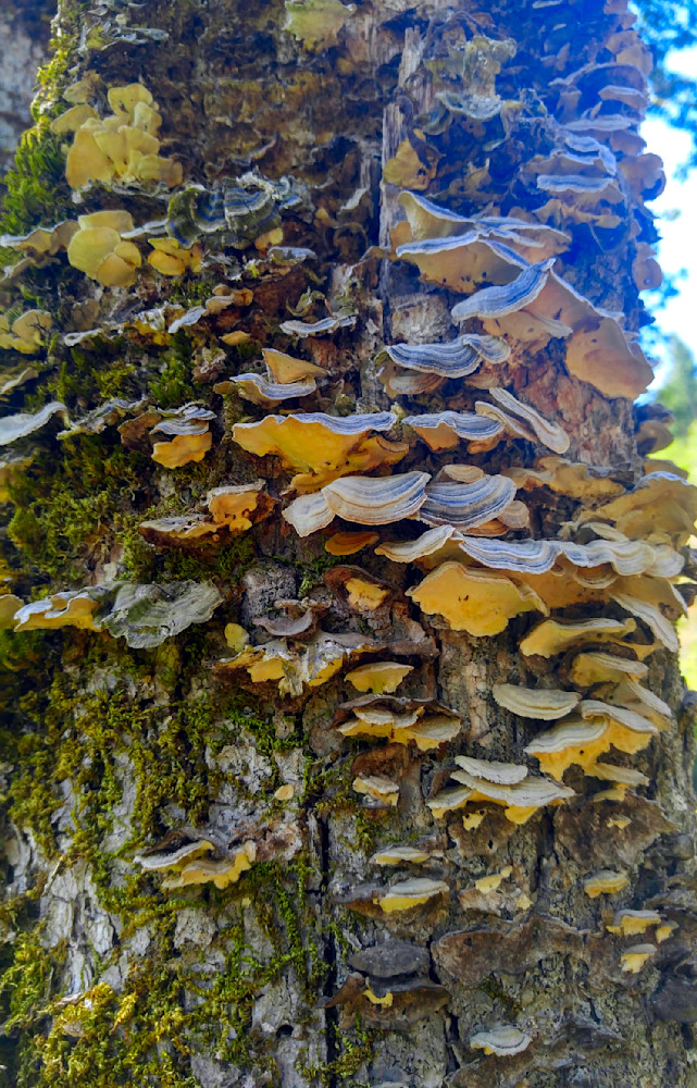 charset=InvalidCharsetId 0,-6 FN=0 lidx=231.99    FM0   FC111111111:zzzzzz111 e7 0780438b165241e816c14c0 bac2fd152 1d3   0134 1ba   0116 1e3   0 f8 20a   0 da 245   0 bc 2aa   0 9e 2b1   0 c8 231   0 d1 2d4   0 da 2c9   0 e3 2a8   0 ec 281   0 f5 26