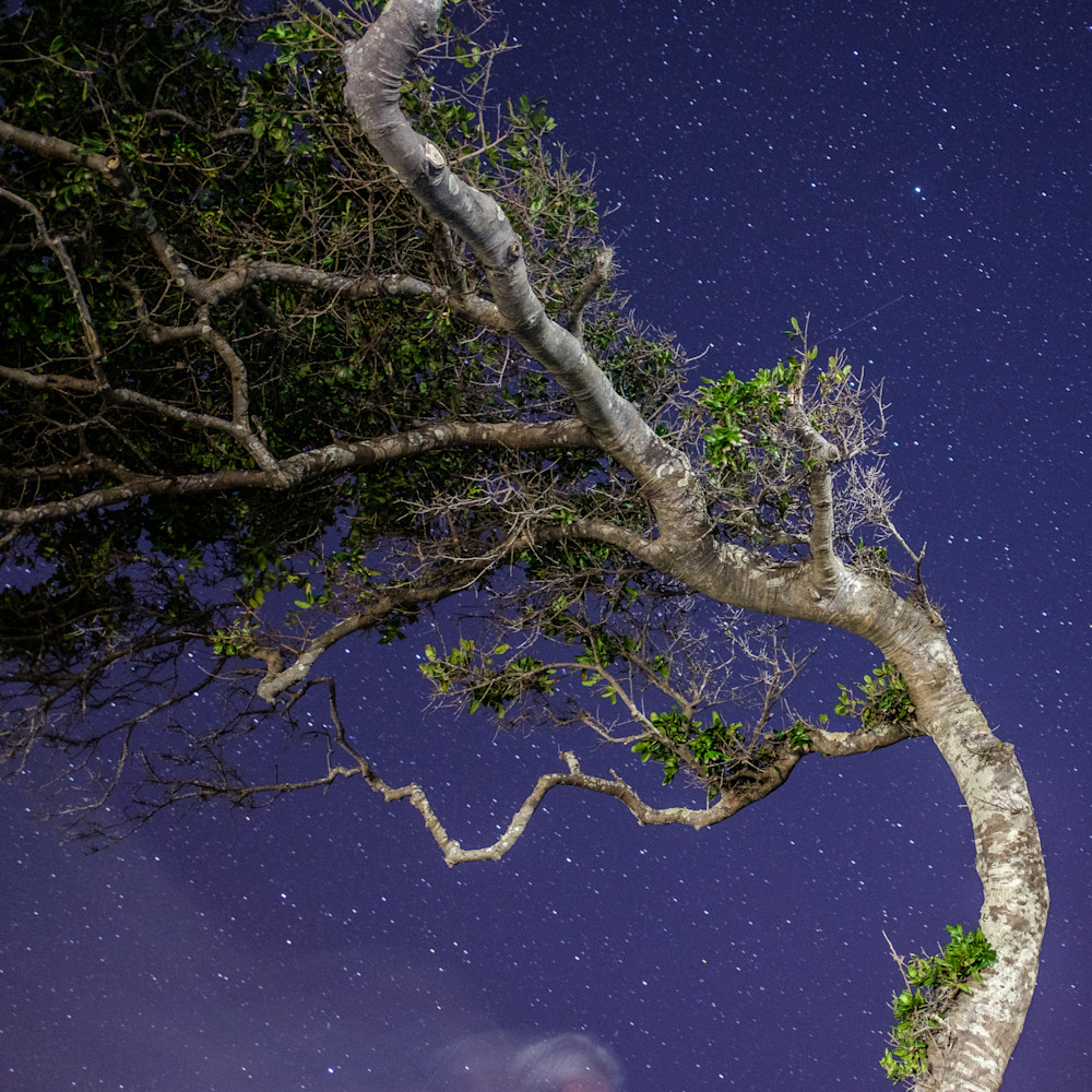 Flexible Photography Art | ANASTASE PHOTOGRAPHY