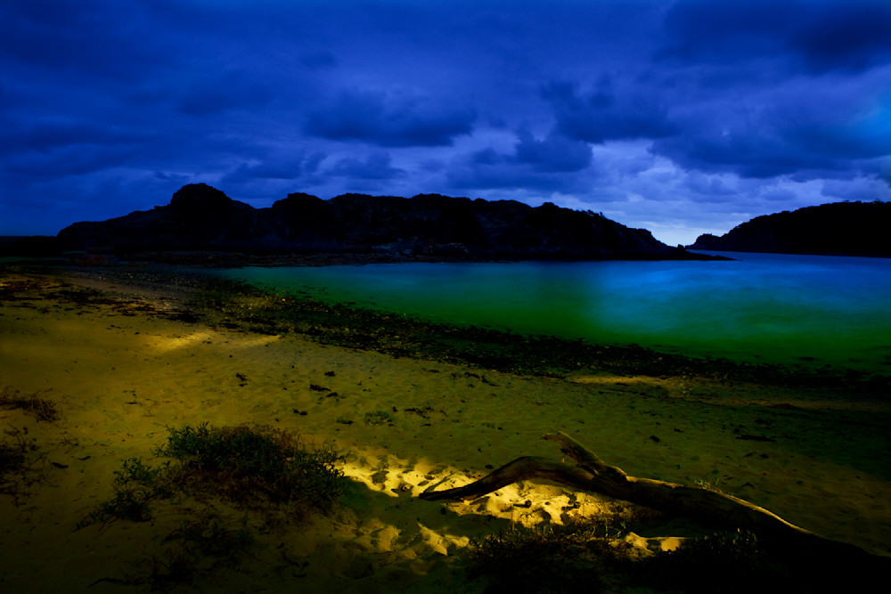 Guerilla Bay Photography Art | ANASTASE PHOTOGRAPHY