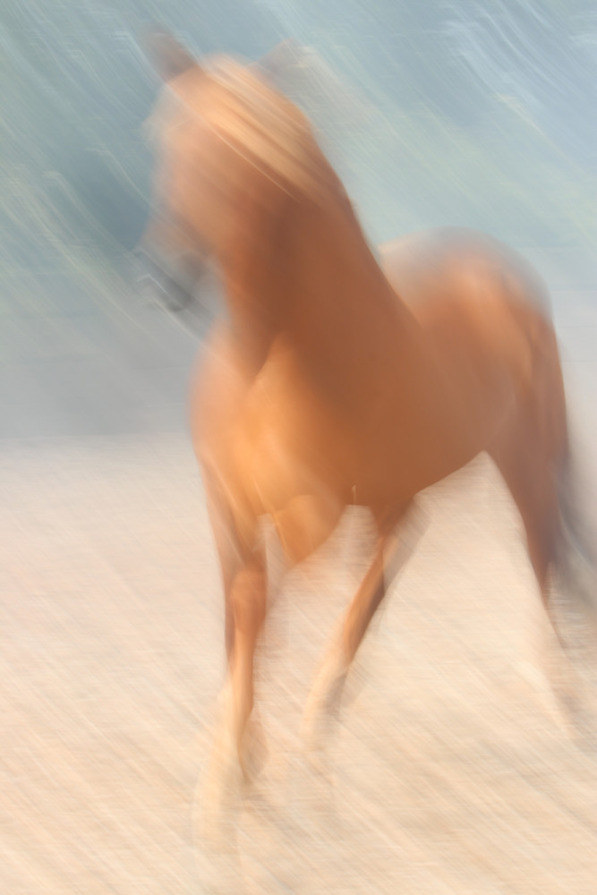 Inspiration Photography Art | Claire Wayte Fine Art Photography