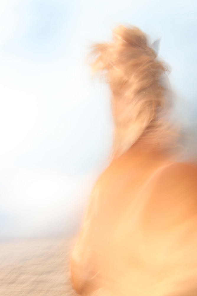 Inspiration Photography Art | Claire Wayte Fine Art Photography