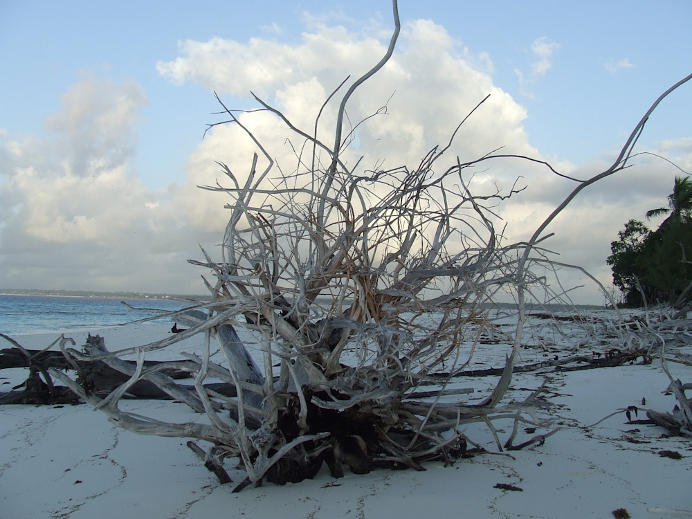 East Africa 2011 872 Photography Art | Claire Wayte Fine Art Photography