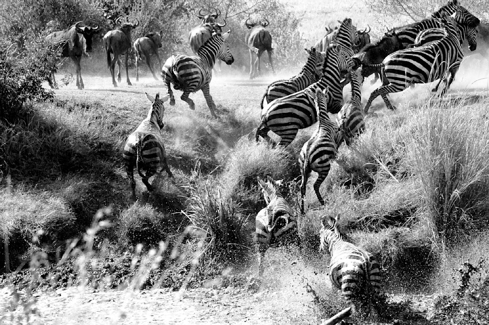 East Africa 2011 314 Photography Art | Claire Wayte Fine Art Photography