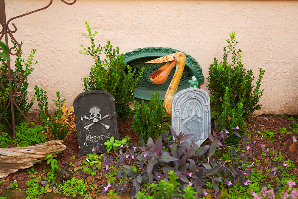 Backyard in the Quarter