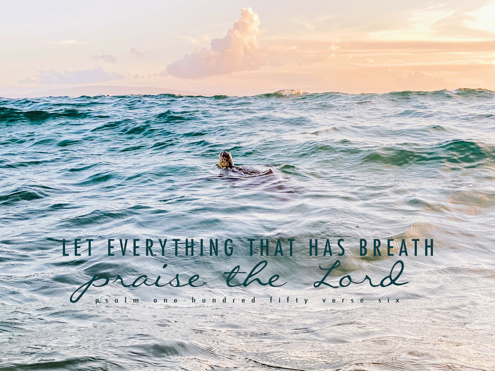 Let Everything Praise Photography Art | The Gallery by Krissy Millar Photography