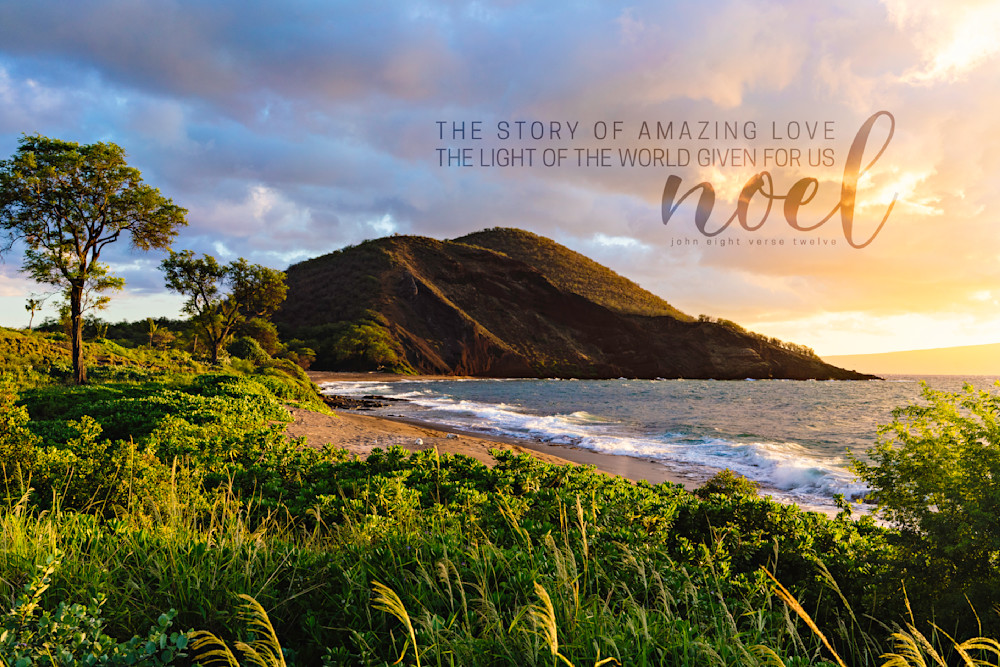 Noel Noel Photography Art | The Gallery by Krissy Millar Photography