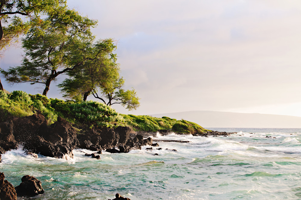 The King Of Kings Photography Art | The Gallery by Krissy Millar Photography