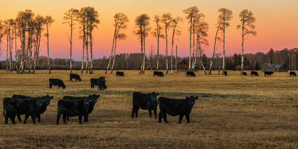 Dsc0308 Pano Copy Photography Art | Bryce Giesmann Fine Arts