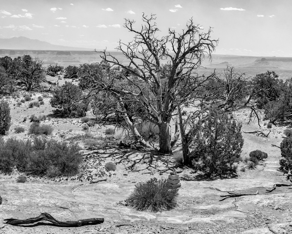 Dsc7923 Pano Copy Bw Photography Art | Bryce Giesmann Fine Arts