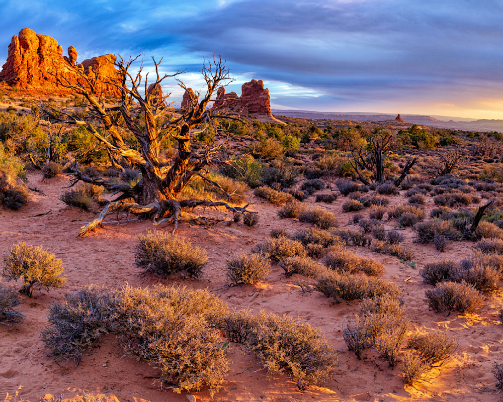 Dsc8266 Pano Copy Photography Art | Bryce Giesmann Fine Arts