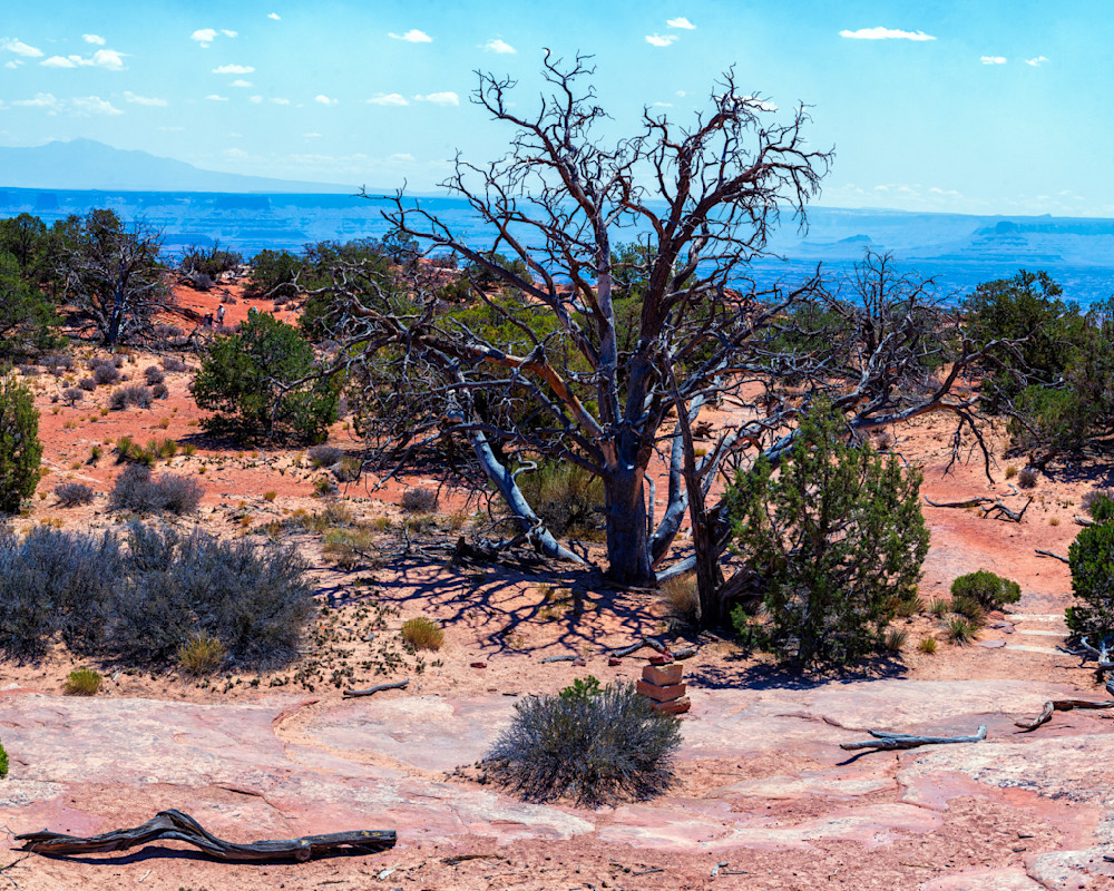 Dsc7923 Pano Copy Photography Art | Bryce Giesmann Fine Arts