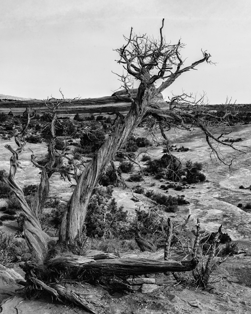 Dsc7510 Pano Copy Bw Photography Art | Bryce Giesmann Fine Arts