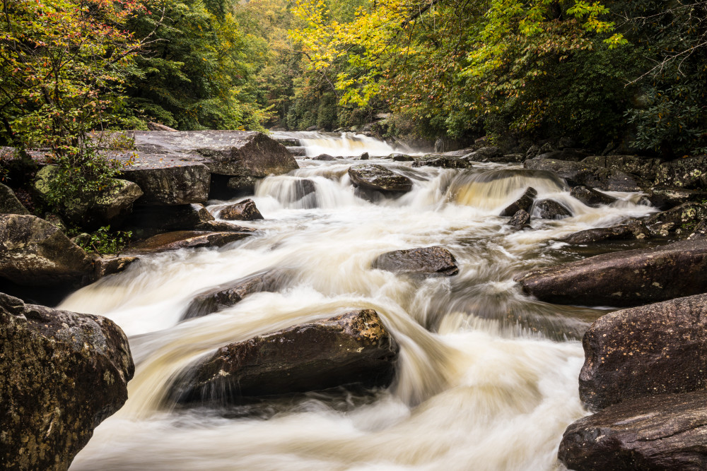 The Horsepasture River on the way to Rainbow Falls, Gorges State Park, North Carolina, USA.
