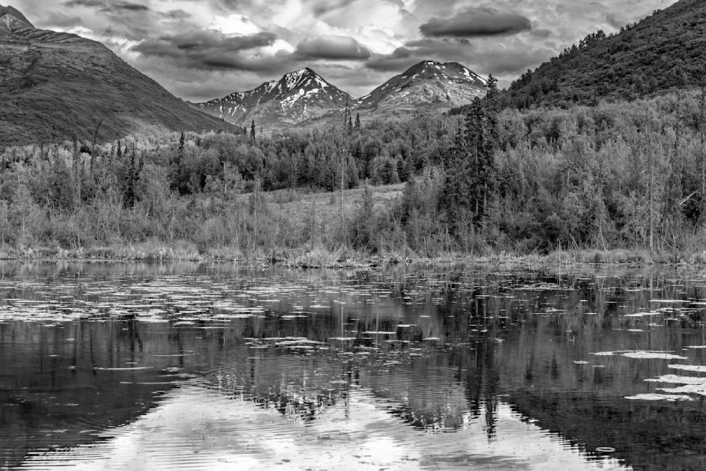 Reflections of Wilderness