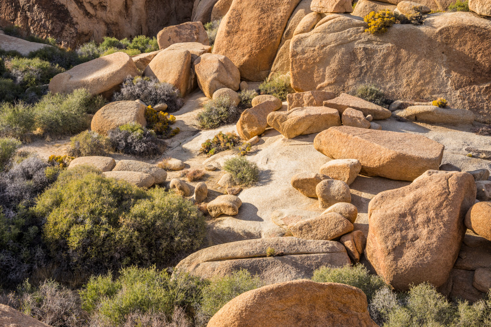 Boulders and rock formations in a drainage near Jumbo Rocks campground in Joshua Tree National Park.