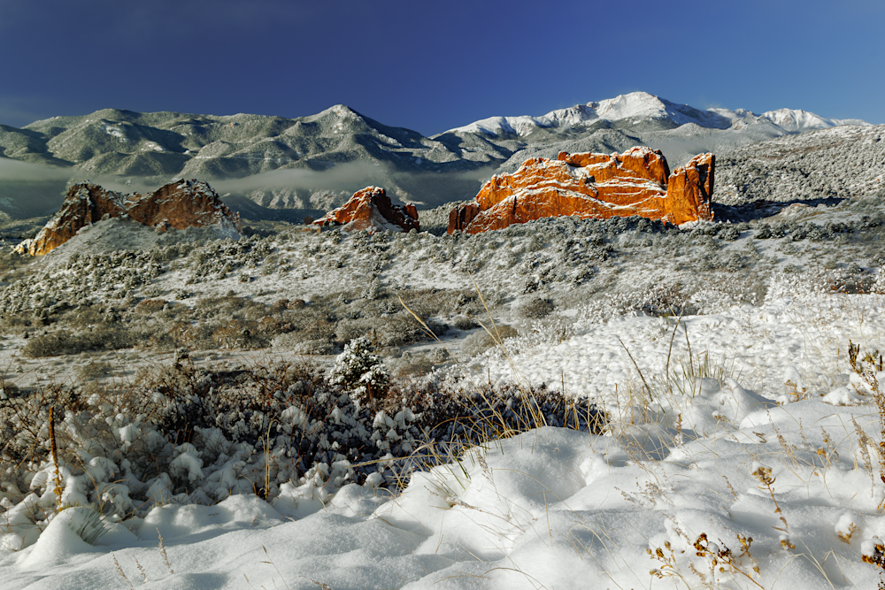 First Snow - Serene Winter Landscape Photography