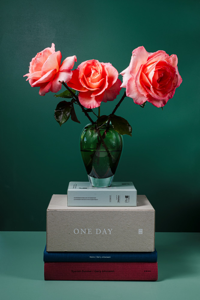 Roses & Books 2 Photography Art | Lester Blair Gallery