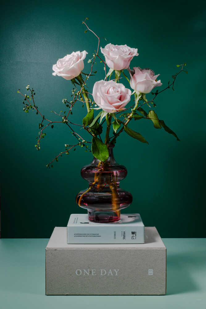 Roses & Books Photography Art | Lester Blair Gallery