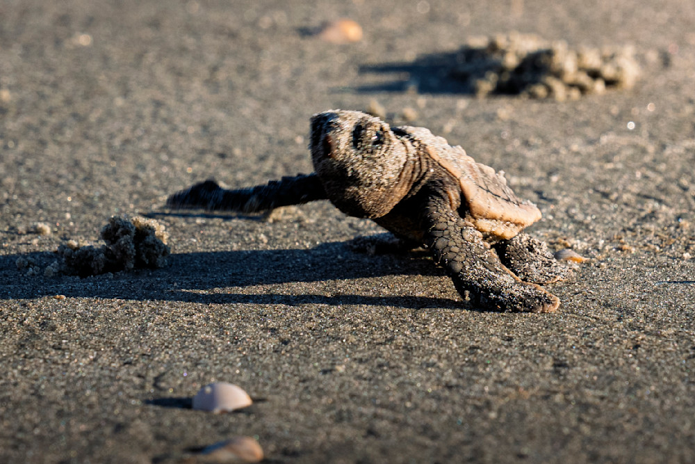 Toward The Water: A Contemplative Journey Photography Art | Marcus Johnson Photography