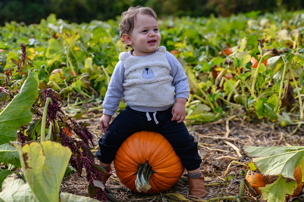 D78 3794 Photography Art | Steve Rizzi Photography