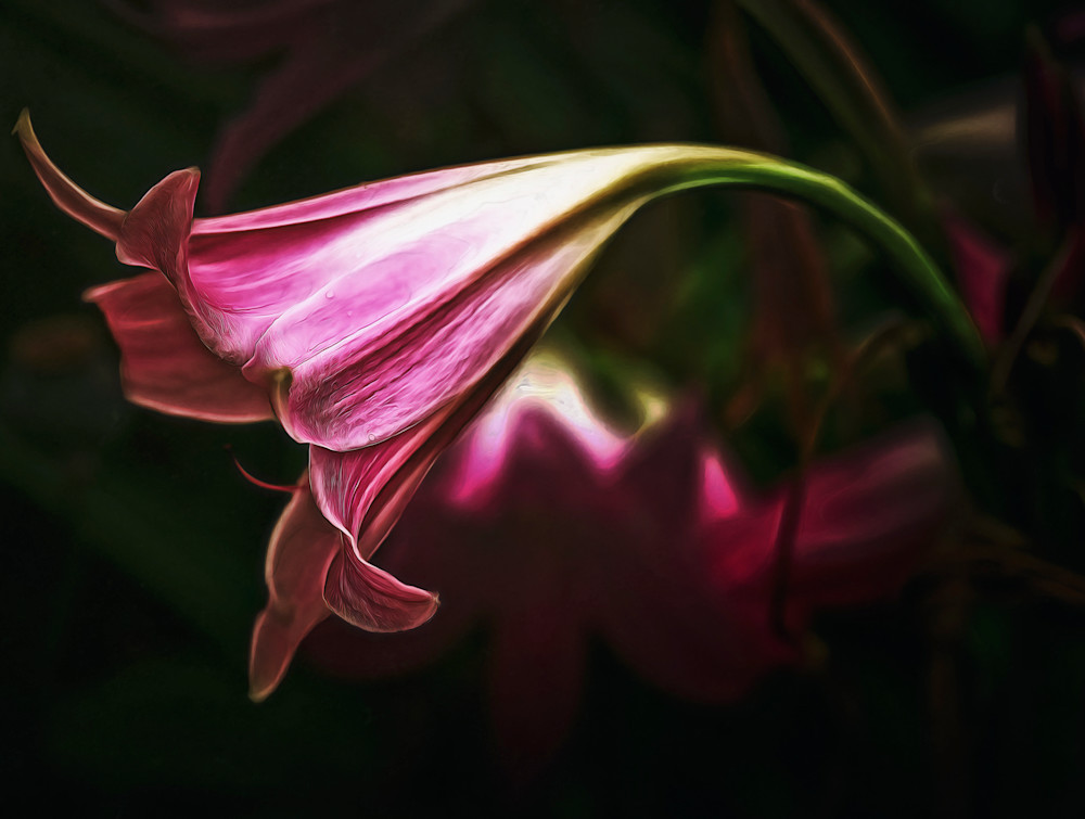 Vita Silenziosa (2025)