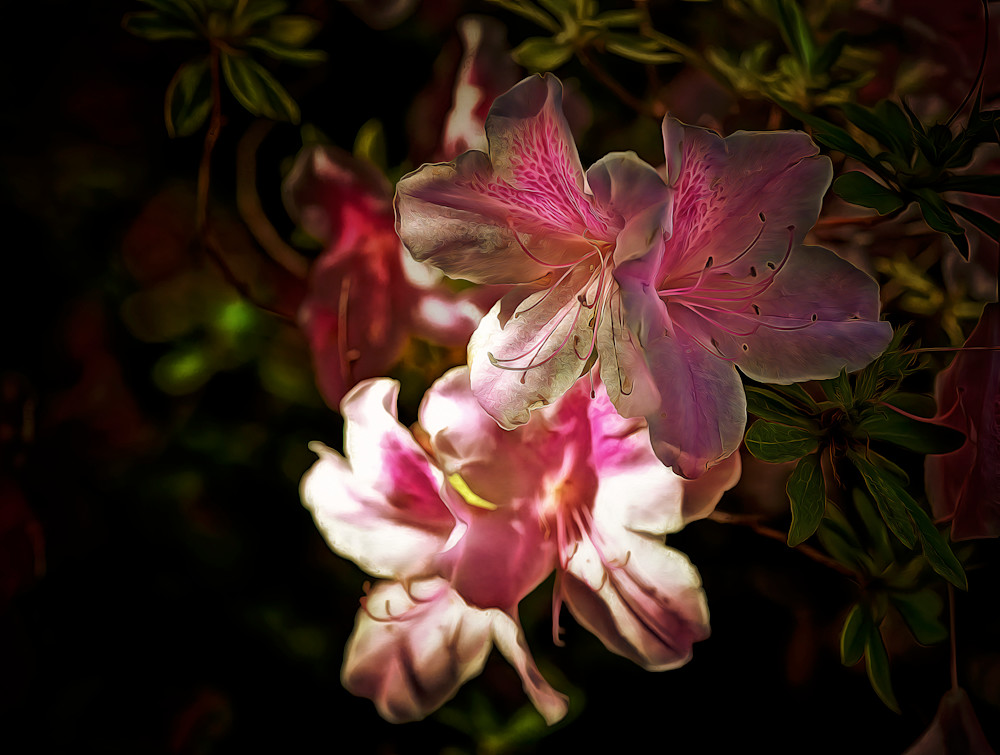 Sotto la Luna (2025)