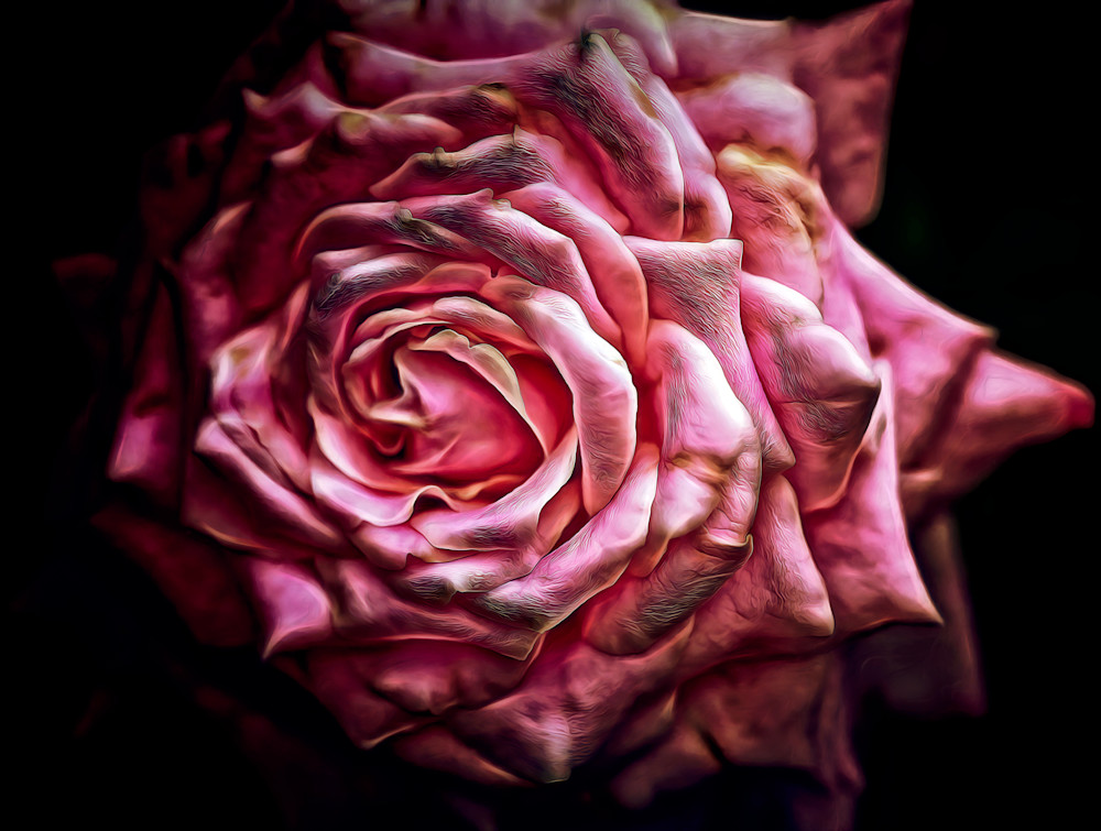 Apri il tuo Cuore, Riprendi (2025)